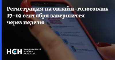 Регистрация на онлайн-голосование 17-19 сентября завершится через неделю - nsn.fm - Москва