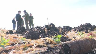 В Воронежской области на месте бывшего концлагеря обнаружили останки 564 солдат - vestivrn.ru - Воронежская обл.