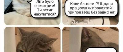 Осінь прийшла, але це не точно: Кращі меми про міжсезоння - w-n.com.ua
