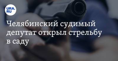 Челябинский судимый депутат открыл стрельбу в саду - ura.news - Челябинская обл. - Челябинск