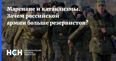 Сергей Шойгу - Марсиане и катаклизмы. Зачем российской армии больше резервистов? - nsn.fm - Россия - Минобороны