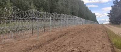 Польща встановить на кордоні з Білоруссю сітку для захисту тварин від колючого дроту - w-n.com.ua - Польща