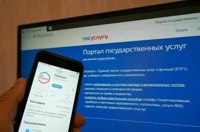 На портале госуслуг упростили процедуру подачи заявлений - pnp.ru - Россия