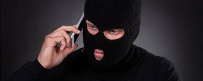 В НСО мошенники от имени ГУ МЧС угрожают проверками торговым и промышленным точкам - runews24.ru - Россия - Новосибирск - Новосибирская обл. - район Ленинский, Новосибирск