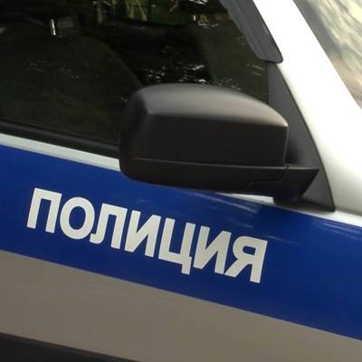 Ирина Волк - Полицейские пресекли деятельность финансовой пирамиды - radiomayak.ru - Россия