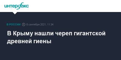 В Крыму нашли череп гигантской древней гиены - interfax.ru - Москва - Россия - Китай - Крым