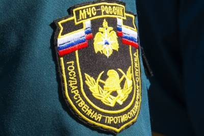 На территории Тульской области за неделю зарегистрировано 36 пожаров - tula.mk.ru - Россия - Тула - Тульская обл.