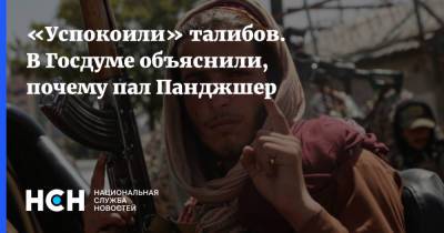 Алексей Чепа - «Успокоили» талибов. В Госдуме объяснили, почему пал Панджшер - nsn.fm - Россия - Афганистан - Талибан