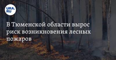 В Тюменской области вырос риск возникновения лесных пожаров - ura.news - Тюменская обл. - район Ишимский