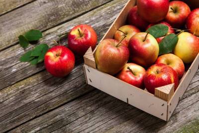 Как хранить свежие яблоки? - skuke.net
