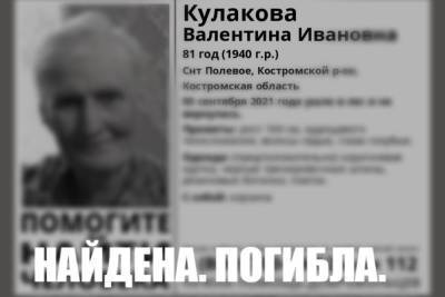 Первая жертва грибного сезона — костромские спасатели нашли в лесу тело 81-етней костромички - kostroma.mk.ru