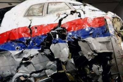 Хендрик Стейнхейс - Решение суда по делу MH17 будет вынесено до конца 2022 года - interaffairs.ru - Украина