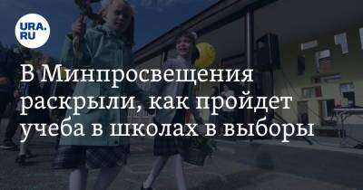 Элла Памфилова - Сергей Кравцов - В Минпросвещения раскрыли, как пройдет учеба в школах в выборы - ura.news - Россия