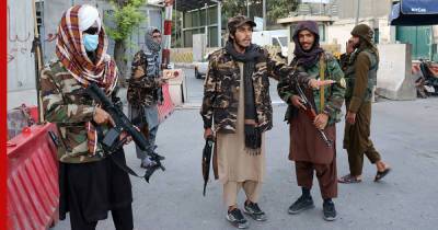 Забиулла Муджахид - Талибы переделают конституцию Афганистана - profile.ru - Россия - Афганистан - Талибан