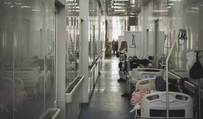 В Башкирии четвертая волна коронавируса может унести тысячи жизней - mkset.ru - Башкирия
