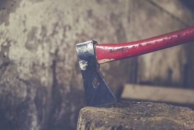 Анна Тертичная - Пенсионер зарубил сестру и племянницу в Подмосковье из-за дома - vm.ru - Москва - Россия - Московская обл. - Московская область