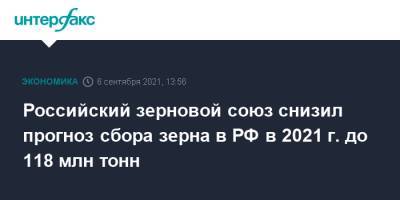 Аркадий Злочевский - Российский зерновой союз снизил прогноз сбора зерна в РФ в 2021 г. до 118 млн тонн - interfax.ru - Москва - Россия