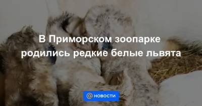 Екатерина Гура - В Приморском зоопарке родились редкие белые львята - news.mail.ru - Владивосток
