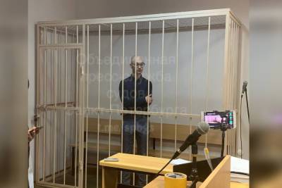 Алексей Навальный - Ударившего силовика художника суд приговорил к трем годам лишения свободы - spb.mk.ru - Россия - Санкт-Петербург
