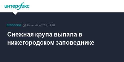 Снежная крупа выпала в нижегородском заповеднике - interfax.ru - Москва - Нижегородская обл.