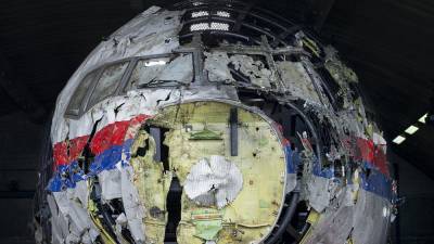 Хендрик Стейнхейс - Дело о рейсе MH-17: год до приговора - ru.euronews.com - Москва - Россия - Украина - Англия - Италия - Белоруссия - Афганистан - Голландия - Гаага - Великобритания