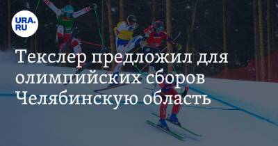 Алексей Текслер - Текслер предложил для олимпийских сборов Челябинскую область - ura.news - Россия - Челябинская обл. - Пекин