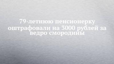 79-летнюю пенсионерку оштрафовали на 3000 рублей за ведро смородины - chelny-izvest.ru - Набережные Челны