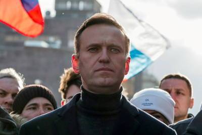 Алексей Навальный - Андреа Зассе - В Германии ответили на обвинения в финансировании Навального - lenta.ru - Москва - Россия - Германия