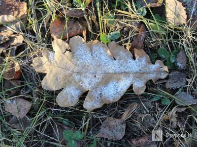 Бабьего лета не будет в Нижнем Новгороде на этой неделе - vgoroden.ru - Нижний Новгород - Нижний Новгород