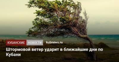 Штормовой ветер ударит в ближайшие дни по Кубани - kubnews.ru - Краснодарский край - Новороссийск