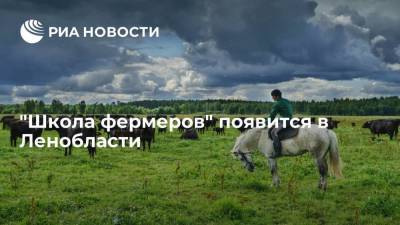 Александр Дрозденко - "Школа фермеров" появится в Ленобласти - smartmoney.one - Россия - Ленинградская обл. - Санкт-Петербург