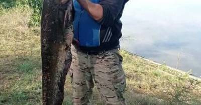 Чоловік з Чернігівщини зловив сома завдовжки з людський зріст - w-n.com.ua