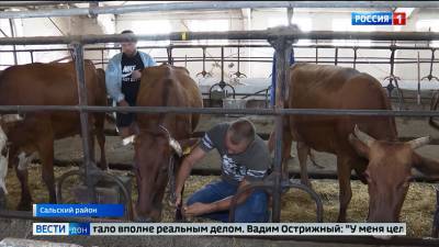 В Ростовской области стартует школа фермеров - dontr.ru - Россия - Ростовская обл.