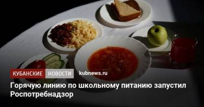 Горячую линию по школьному питанию запустил Роспотребнадзор - kubnews.ru - Краснодарский край