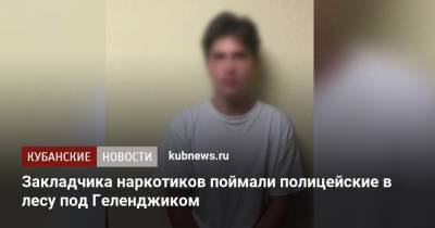 Закладчика наркотиков поймали полицейские в лесу под Геленджиком - kubnews.ru - Россия - Краснодарский край - Новороссийск - Геленджик