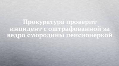 Руслан Галиев - Прокуратура проверит инцидент с оштрафованной за ведро смородины пенсионеркой - chelny-izvest.ru - Набережные Челны