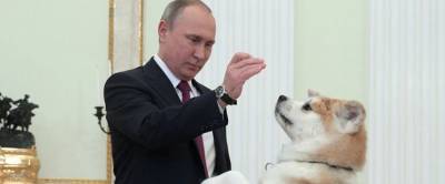 Японцы потребовали вернуть подаренную Путину собаку из-за празднования на Курилах - runews24.ru - Россия - Япония