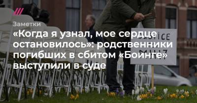 «Когда я узнал, мое сердце остановилось»: родственники погибших в сбитом «Боинге» выступили в суде - tvrain.ru