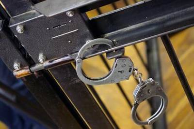 Россиянина посадили на 15 лет за убийство инвалида из-за лая собаки - lenta.ru - Россия - Красноярск