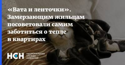 «Вата и ленточки». Замерзающим жильцам посоветовали самим заботиться о тепле в квартирах - nsn.fm - Московская обл.