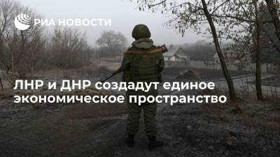 В ЛНР и ДНР решили создать единое экономическое и таможенное пространство - ria.ru - Украина - Луганская обл. - ДНР - ЛНР - Донбасс - Луганск - Донецкая обл.