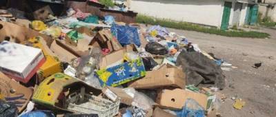 Правозащитники сообщили, что мусорные полигоны в ОРДЛО переполнены - w-n.com.ua - Россия - Украина - ДНР - Донецк - ЛНР - Ордло