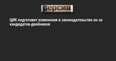 Элла Памфилова - ЦИК подготовит изменения в законодательство из-за кандидатов-двойников - neva.versia.ru - Санкт-Петербург