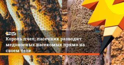Король пчел: пасечник разводит медоносных насекомых прямо на своем теле - ridus.ru - Руанда