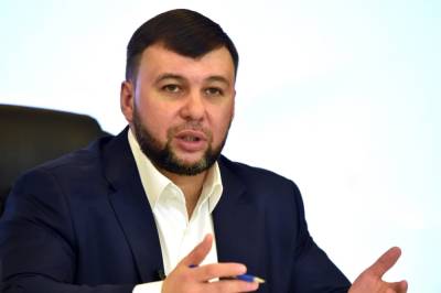 Владимир Зеленский - Денис Пушилин - Джо Байден - «Это не про мир в Донбассе» – Пушилин о поездке Зеленского в США - politnavigator.net - Россия - США - Украина - Вашингтон - ДНР