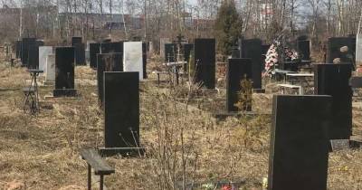 В садовом кооперативе под Львовом устроили нелегальное кладбище - lenta.ua - Россия - Украина - Львов