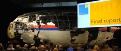 Родственники жертв катастрофы МН17 высказались о роли России - w-n.com.ua - Москва - Россия - Украина - Голландия - Малайзия - Донецкая обл.