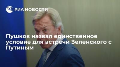 Владимир Зеленский - Владимир Путин - Алексей Пушков - Дмитрий Кулеба - Сенатор Пушков: Зеленскому для встречи с Путиным нужно определиться с темами для разговора - ria.ru - Москва - Россия - Украина - Киев