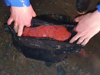 У макаровских рек продолжают отлавливать браконьеров - sakhalin.info - Россия - район Макаровский