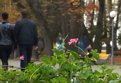 До +3: в Украине 6 сентября серьезно похолодает, будет не до шуток - akcenty.com.ua - Украина - Запорожская обл.